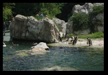 Viena -iunie-2011 - Bogdan Balaban